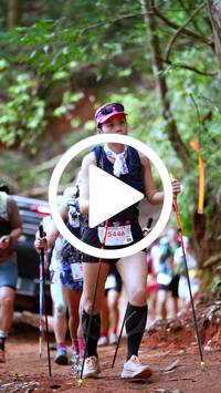 BIB:  <button type="button" onclick="openModal(27497708)" class="btn btn-primary btn-sm float-right" data-toggle="modal" data-target=".modal-high-quality">
                <i class="fa fa-download"></i> Download
                </button>